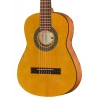 Классическая гитара Ibanez GA1-OAM