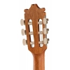 Классическая гитара Ibanez GA1-OAM