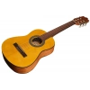 Классическая гитара Ibanez GA1-OAM