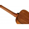 Классическая гитара Ibanez GA1-OAM