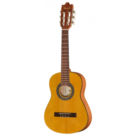 Классическая гитара Ibanez GA1-OAM