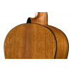 Классическая гитара Ibanez GA2-OAM
