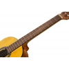 Классическая гитара Ibanez GA2-OAM