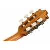 Классическая гитара Ibanez GA2-OAM