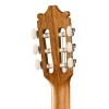 Классическая гитара Ibanez GA2-OAM