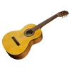 Классическая гитара Ibanez GA2-OAM