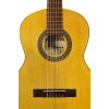 Классическая гитара Ibanez GA2-OAM