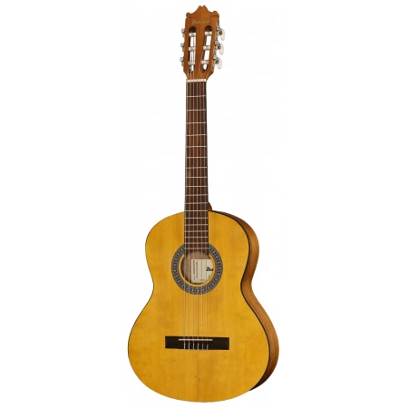 Классическая гитара Ibanez GA2-OAM