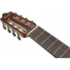 Классическая гитара Ibanez GA3008CE-NT