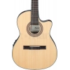 Классическая гитара Ibanez GA35TCE-NT