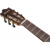 Классическая гитара Ibanez GA360TCE-TBK