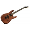 Електрогітара Ibanez GRG121DX-WNF