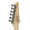 Електрогітара Ibanez GRGR221PA-AQB