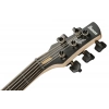 Бас-гітара Ibanez GWB205-TQF