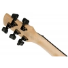Бас-гітара Ibanez GWB205-TQF
