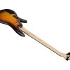 Бас-гітара Ibanez GWB205-TQF