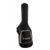 Електрогітара Ibanez IC420-AAB