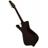 Електрогітара Ibanez IC420-AAB