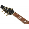 Електрогітара Ibanez IC420FM-TBG
