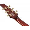 Електрогітара Ibanez IC420FM-TBG