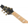Электрогитара Ibanez IC420MFM-CML
