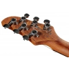 Електрогітара Ibanez ICHI00-VWH