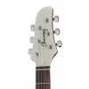 Електрогітара Ibanez ICHI00-VWH