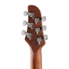 Електрогітара Ibanez ICHI00-VWH