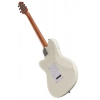 Електрогітара Ibanez ICHI00-VWH