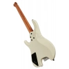 Електрогітара Ibanez ICHI10-VWM