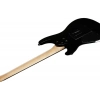 Електрогітара Ibanez JIVAJR-DSE