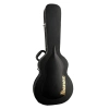 Електрогітара Ibanez LGB30-NT