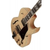 Електрогітара Ibanez LGB30-NT