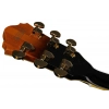 Электрогитара Ibanez LGB30-VYS