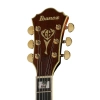 Электрогитара Ibanez LGB30-VYS
