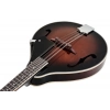 Мандолина Ibanez M510-DVS