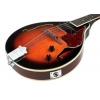 Мандолина Ibanez M510E-BS