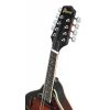 Мандолина Ibanez M510E-BS