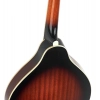 Мандолина Ibanez M510E-BS