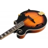 Мандолина Ibanez M522S-BS