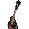 Мандолина Ibanez M522S-DVS