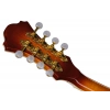 Мандолина Ibanez M700S-AVS