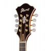 Мандолина Ibanez M700S-AVS