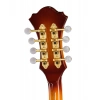 Мандолина Ibanez M700S-AVS