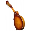 Мандолина Ibanez M700S-AVS