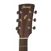 Акустична гітара Ibanez PC12MH-OPN