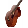 Бас-гітара Ibanez PCBE12MH-OPN