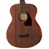 Бас-гітара Ibanez PCBE12MH-OPN