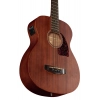 Бас-гітара Ibanez PCBE12MH-OPN