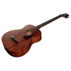 Бас-гітара Ibanez PCBE12MH-OPN